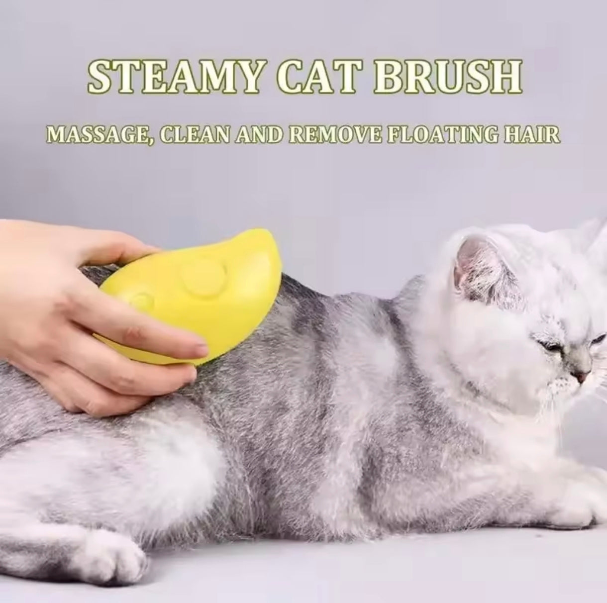 2in1 Katzenbürste – Kein Haar mehr überall!“